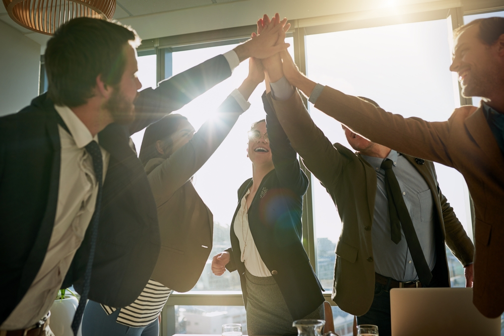 Professional team collaboration